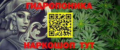 крисы Аша