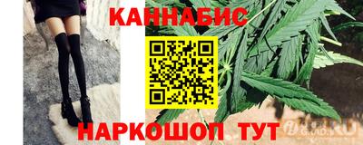 прущие грибы Ачхой-Мартан