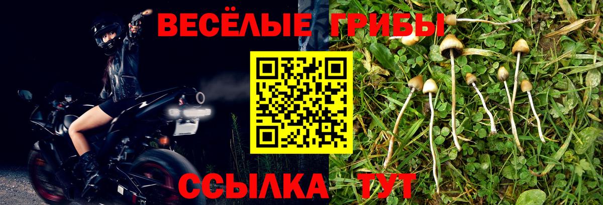 Всеволожск  магазин    Галлюциногенные грибы GOLDEN TEACHER  Вход с VPN  Псилоцибиновые грибы Psilocybe 