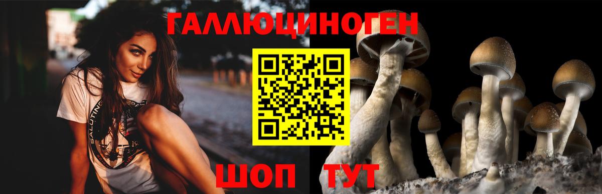 Галлюциногенные грибы мицелий Всеволожск